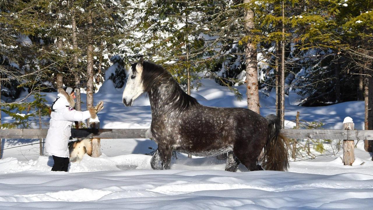 Villa Le Ti Moose La Malbaie Exterior foto
