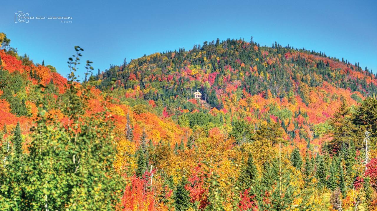 Villa Le Ti Moose La Malbaie Exterior foto